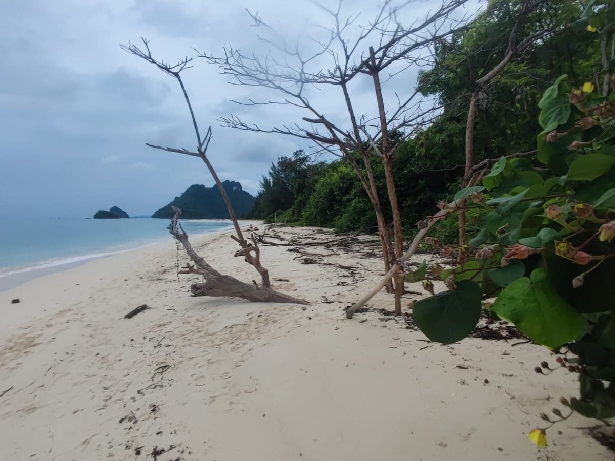 KRABI RUNGTAWAN TOURS (Ao Nang) - All You Need to Know BEFORE You Go