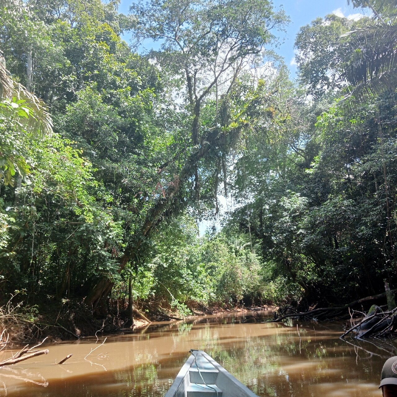 CUYABENO DOLPHIN LODGE (Cuyabeno Wildlife Reserve, Équateur) - Tarifs 2024