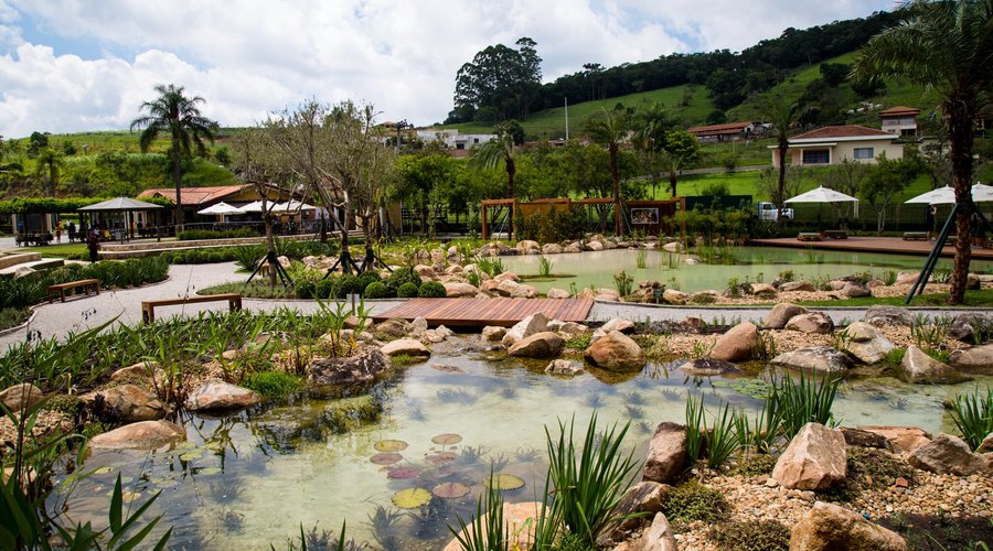 Lago Vinícola Góes