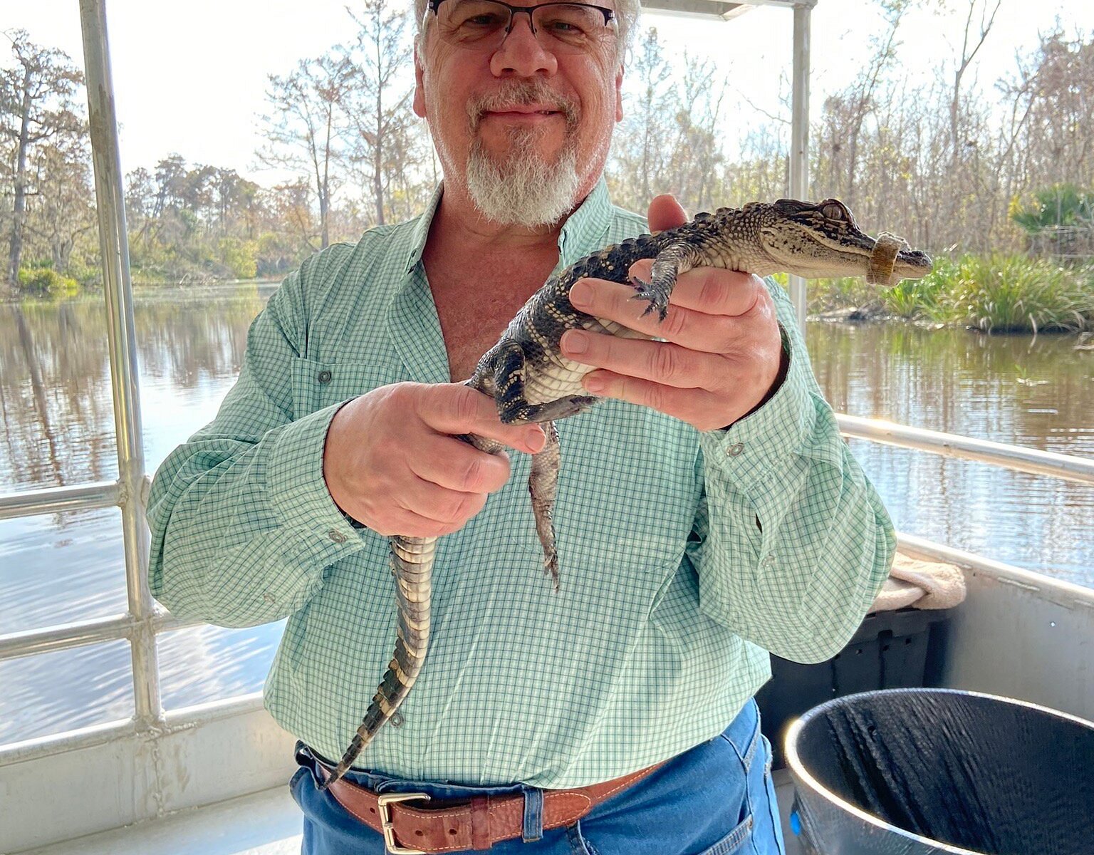 swamp tours laplace louisiana