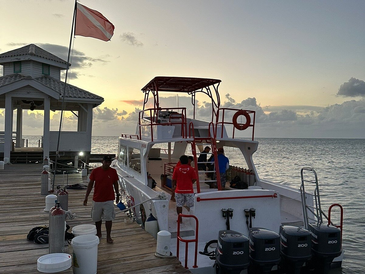 Belize Pro Dive Center (San Pedro) All You Need to Know BEFORE You Go