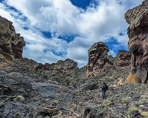 punta arenas free tour