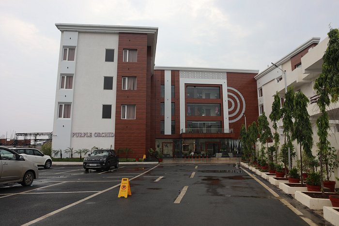 Hotel Purple Orchid Prices And Reviews Ambikapur India 8175