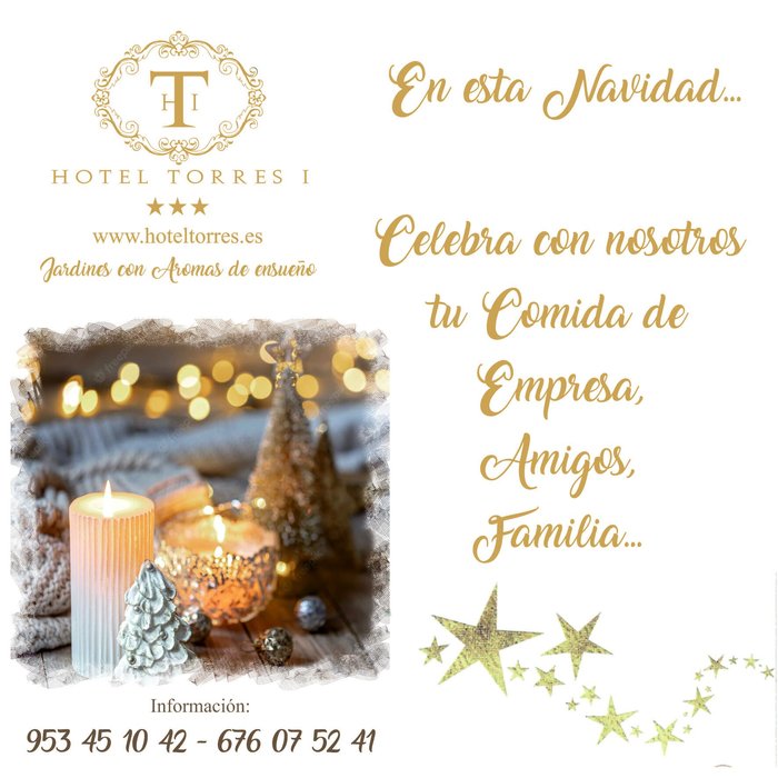 Imagen 3 de Hotel Torres I