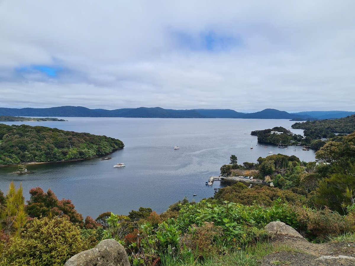 Stewart Island Electric Bikes - All You Need to Know BEFORE You Go