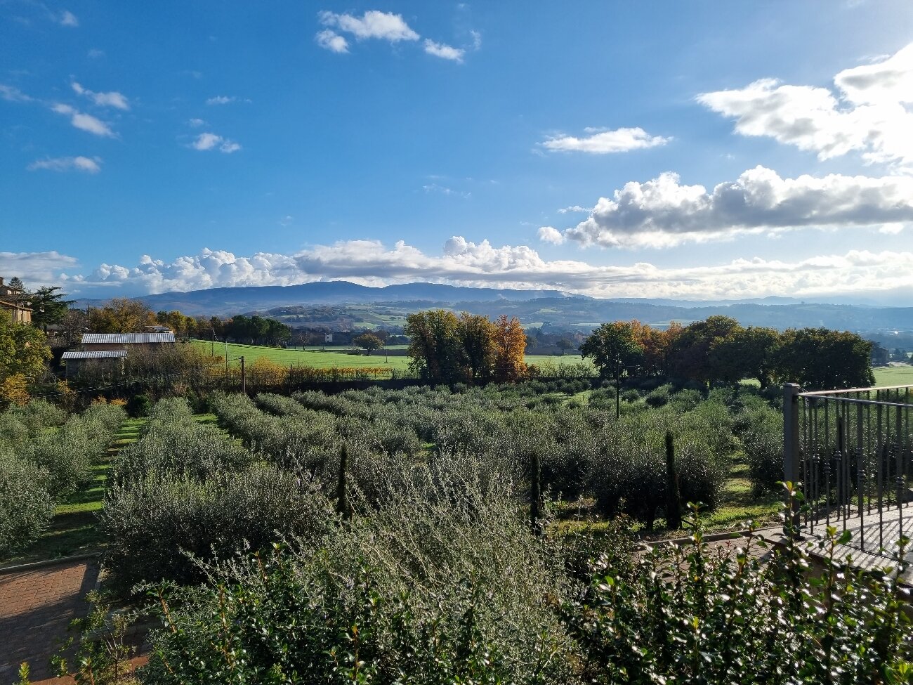 HORTUS NATURAL LIVING $104 ($̶1̶1̶1̶) - Prices & B&B Reviews - Todi, Italy