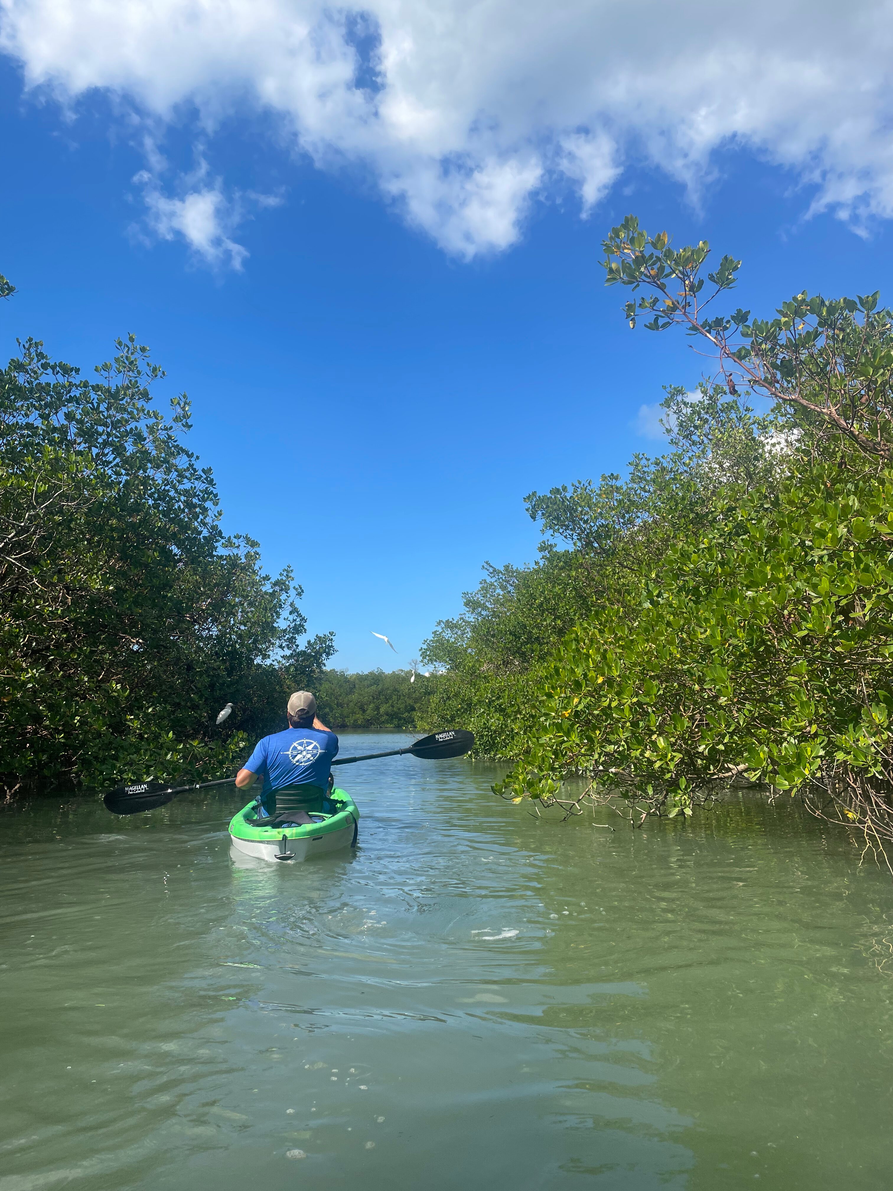 Get Up And Go Kayaking - Naples (Bonita Springs) - All You Need To Know ...