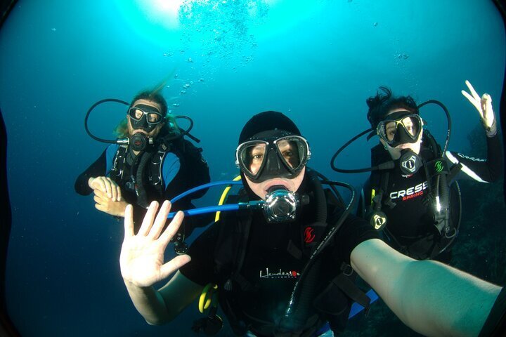 2024 Two dives for Certificates in the Coral Reef in Mahahual Costa Maya