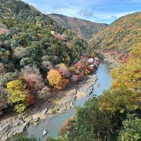 Arashiyama (Kyoto): All You Need to Know BEFORE You Go