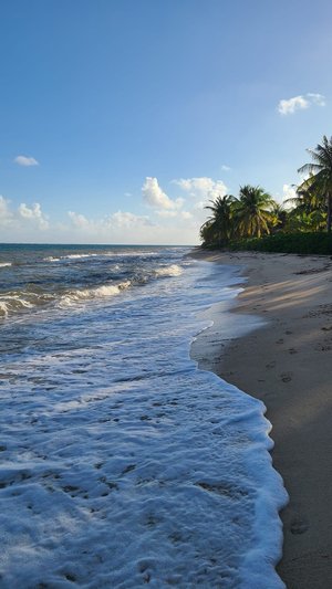 CAMP BAY LODGE - Prices & Reviews (Roatan, Honduras - Bay Islands)