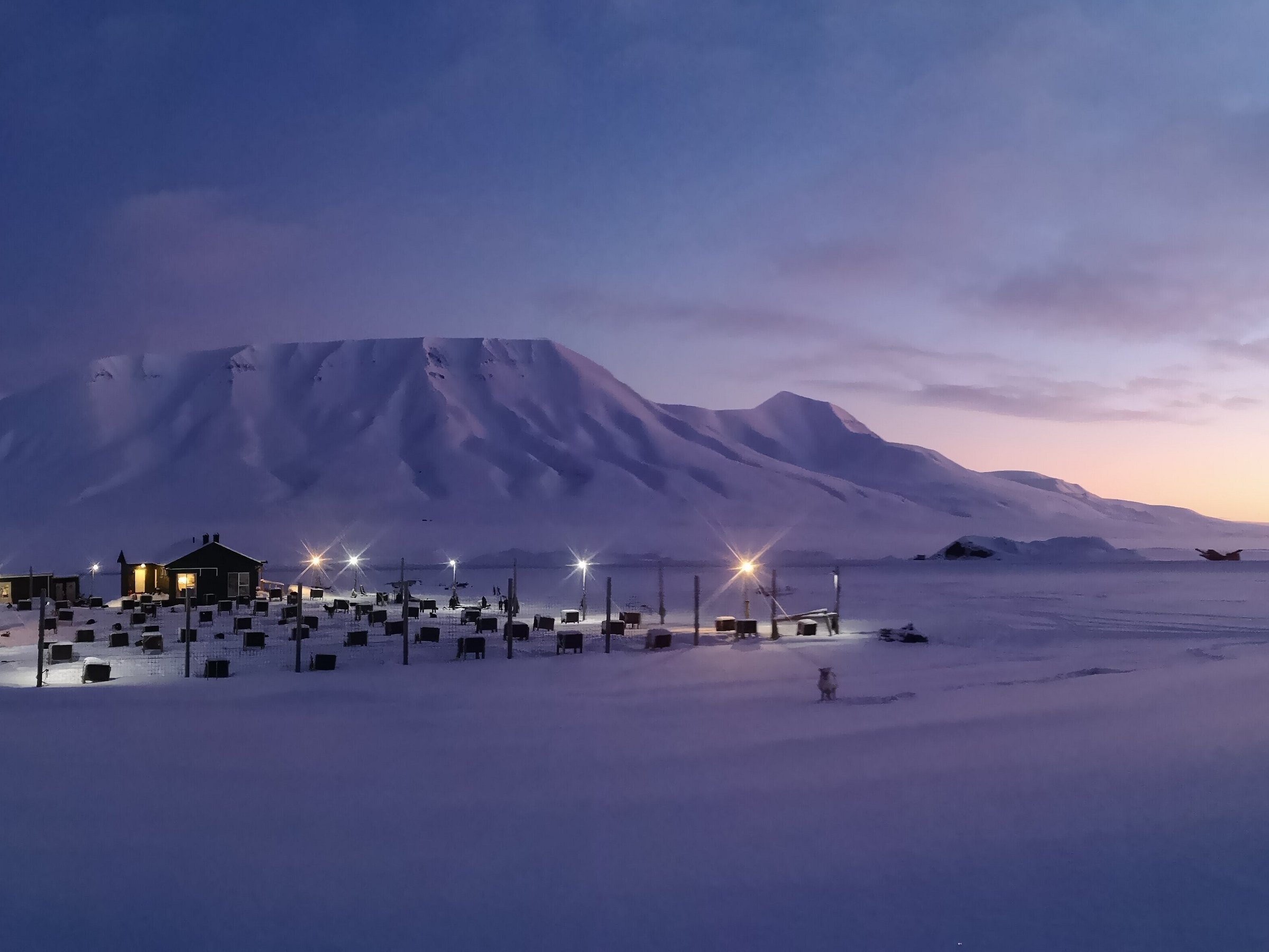 green dog svalbard day tours