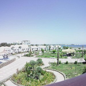 hotel grounds, garden, pool, landscape, beach area