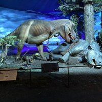 Milwaukee Public Museum - All You Need to Know BEFORE You Go