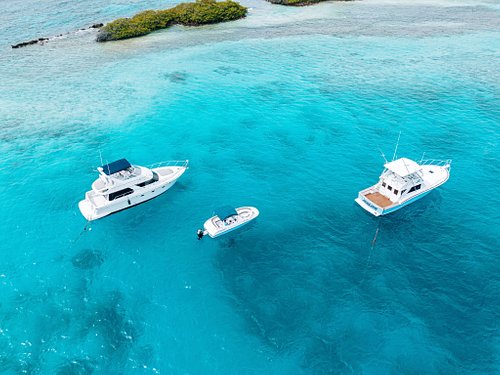 yachts for rent in aruba