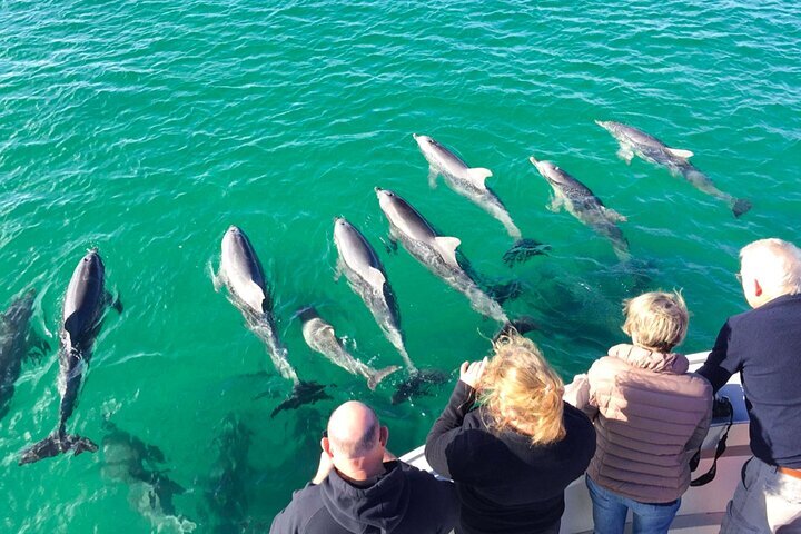 KANGAROO ISLAND OCEAN SAFARI - All You Need to Know BEFORE You Go