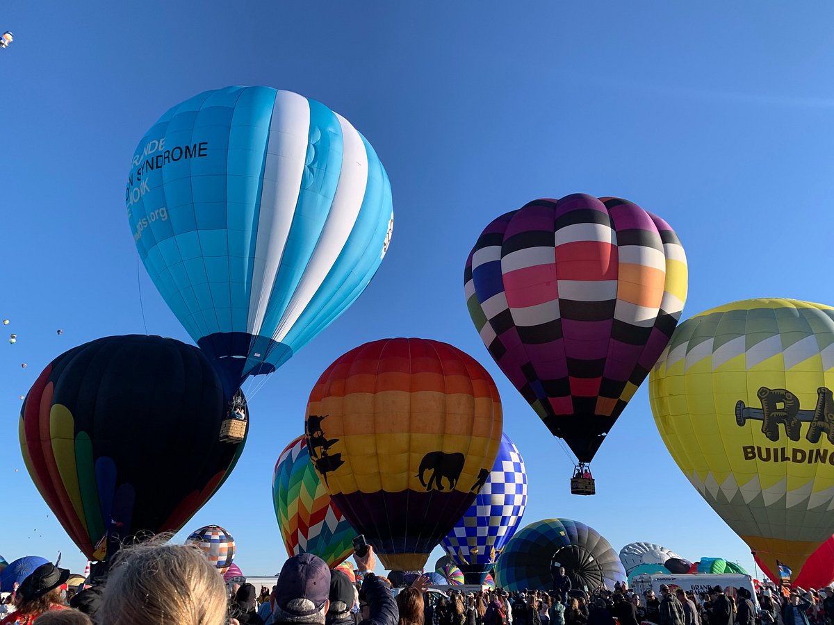 Are Dogs Allowed At Balloon Fiesta