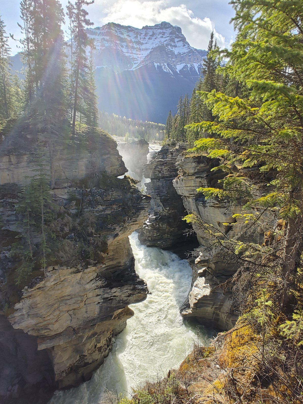 2024 (Vancouver) Ultimate 9Day Canadian Rockies Rail Tour from