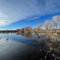 Bosque del Apache National Wildlife Refuge (San Antonio) - All You Need ...