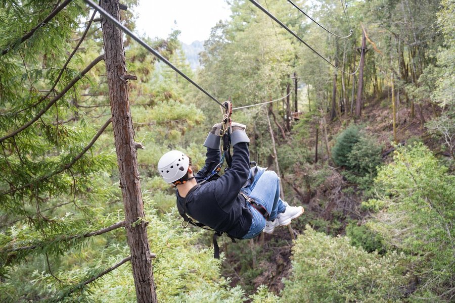 sonoma canopy tours reviews