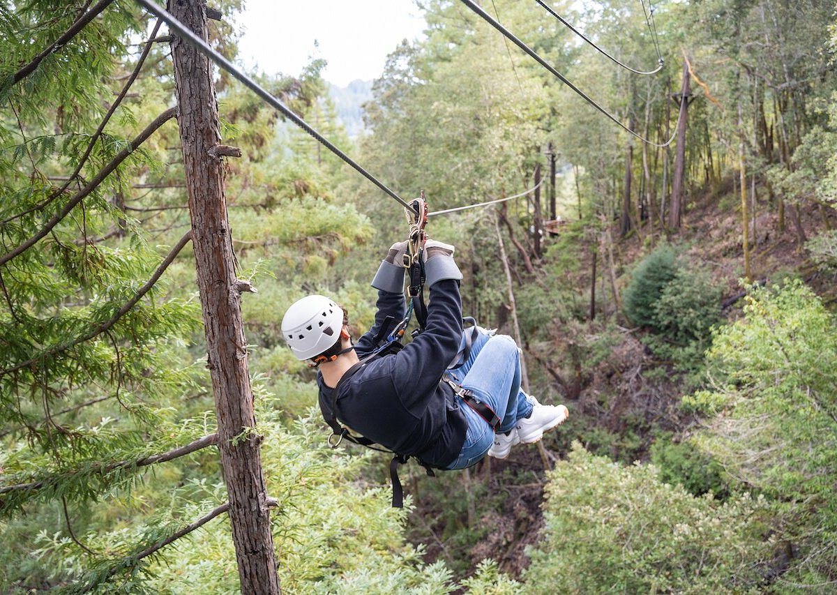 sonoma canopy tours reviews