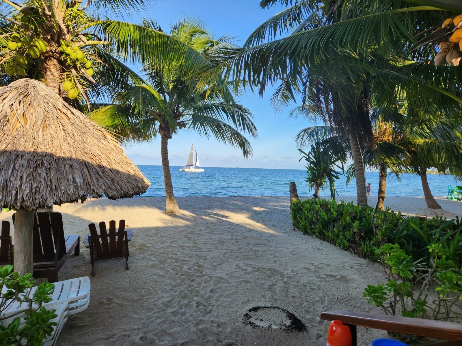 Ranguana Lodge by null