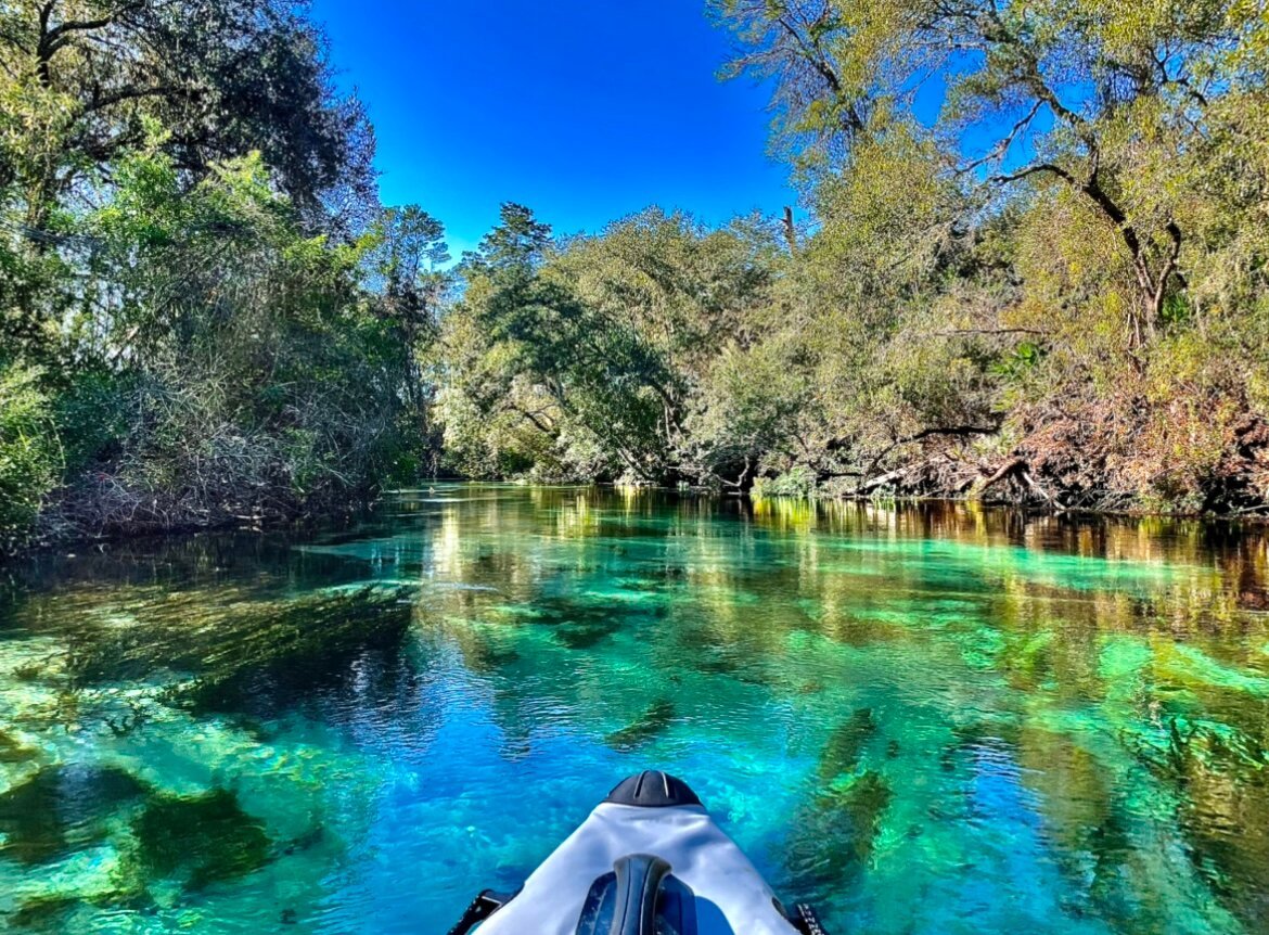 Weeki Wachee Springs All You Need to Know BEFORE You Go