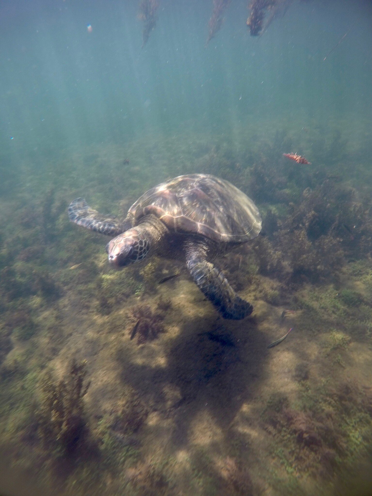 ECO-CHALLENGER GALAPAGOS TOUR AGENCY (San Cristobal) - All You Need To ...