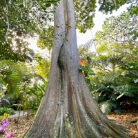 Flamingo Gardens (Davie) - All You Need to Know BEFORE You Go