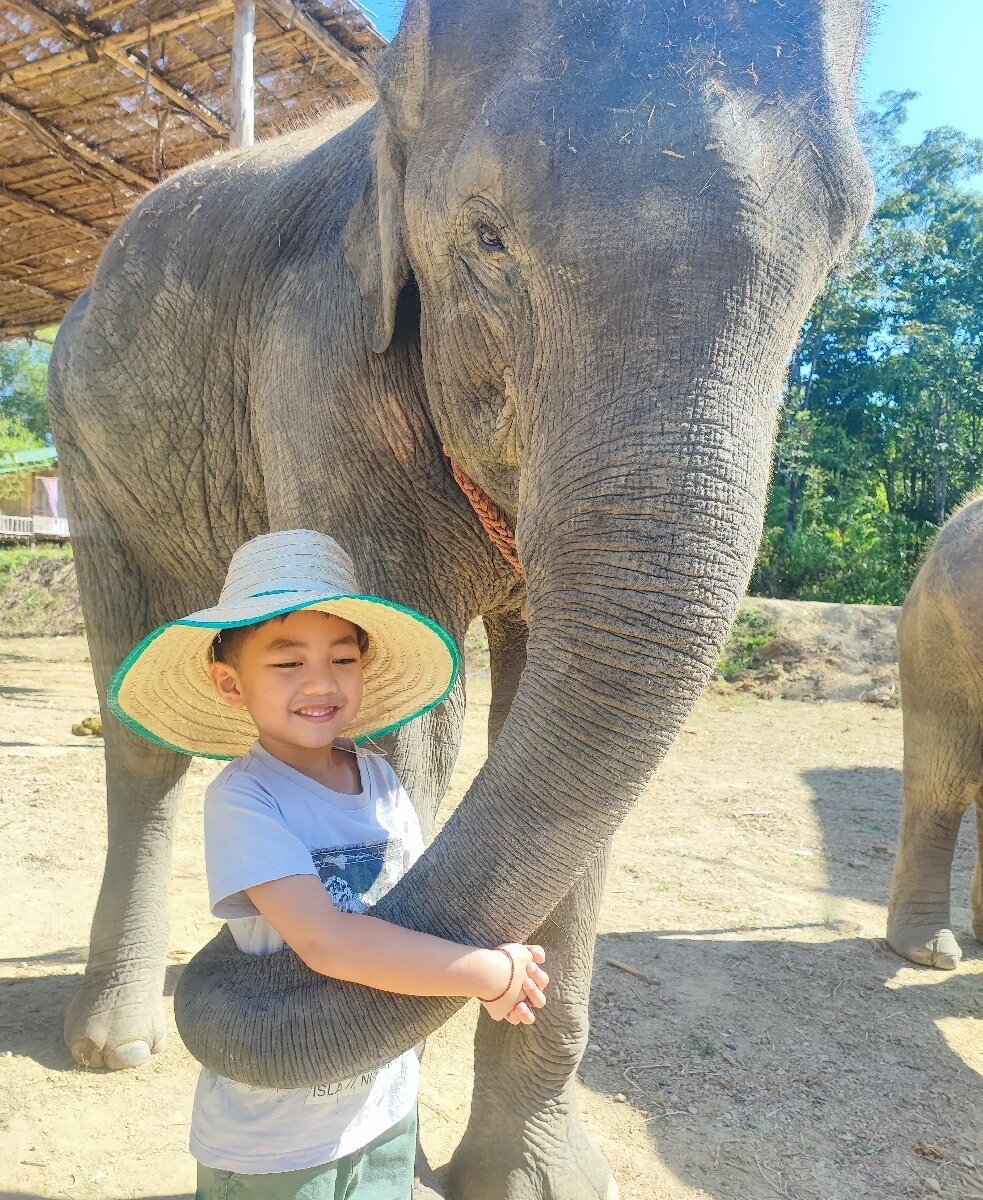 Elephants Care Camp Chiangmai (Chiang Mai): All You Need to Know