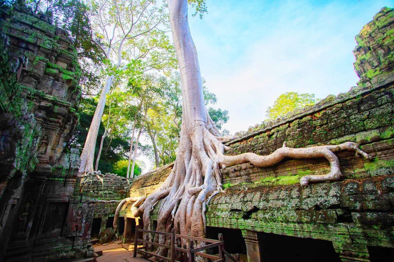 Siem Reap Private Tours - All You Need to Know BEFORE You Go (2024)