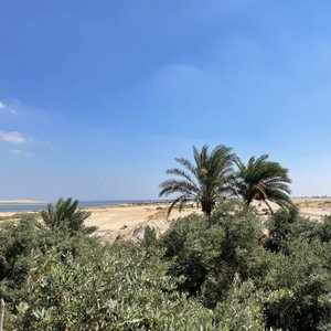 Mangrove Camp Fayoum in Al Fayyum
