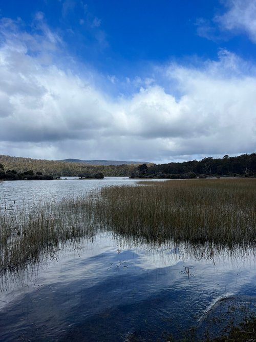 Cradle Mountain-Lake St. Clair National Park review images