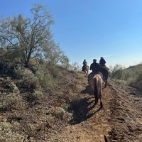 Cave Creek Trail Rides - All You Need to Know BEFORE You Go