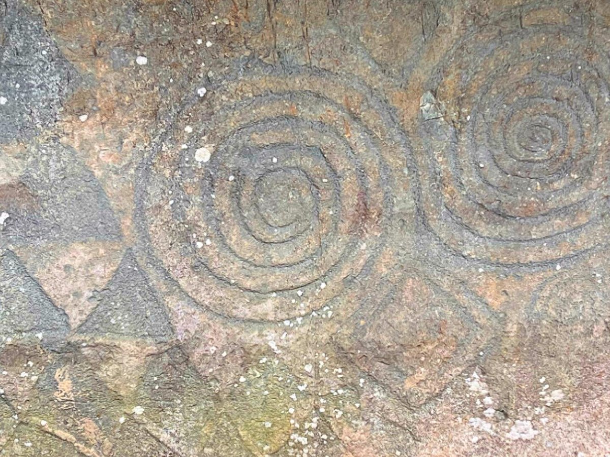 newgrange tours mary gibbons