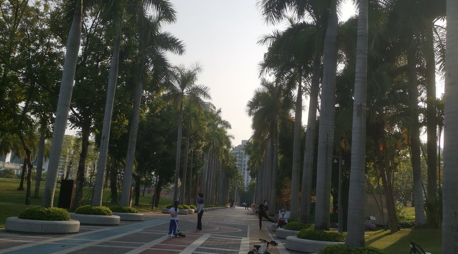 Shenzhen Central Park