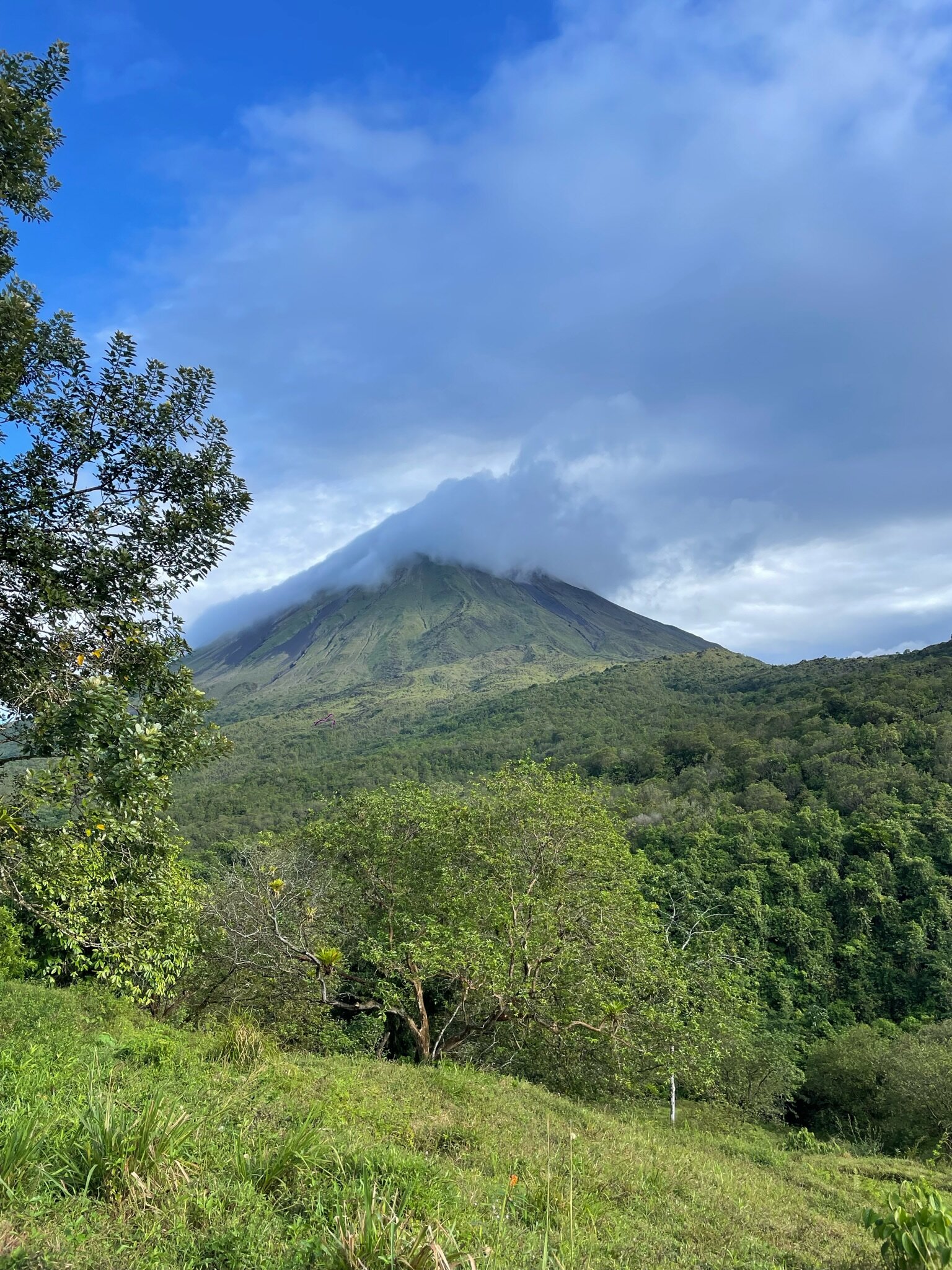 GECKO TRAIL - DAY TOURS (Puerto Viejo de Talamanca) bild