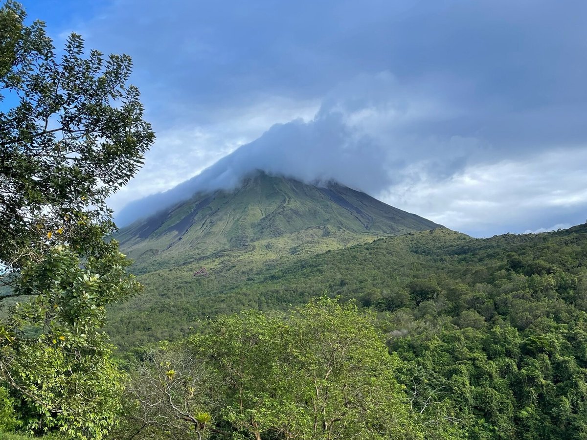 Gecko Trail - Day Tours (Puerto Viejo de Talamanca) - All You Need to ...