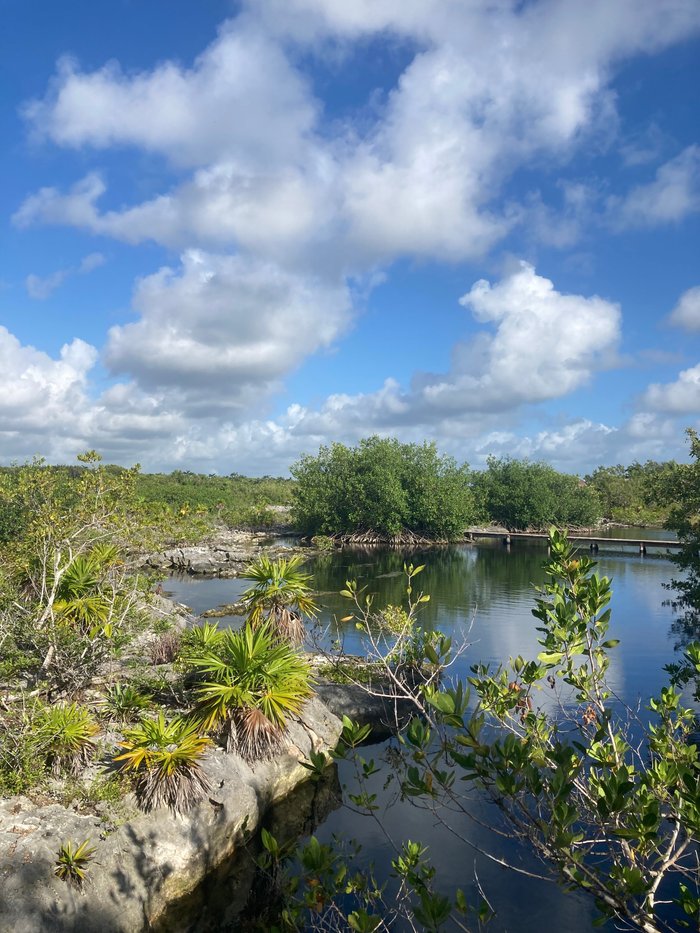 barbel bike rental tulum