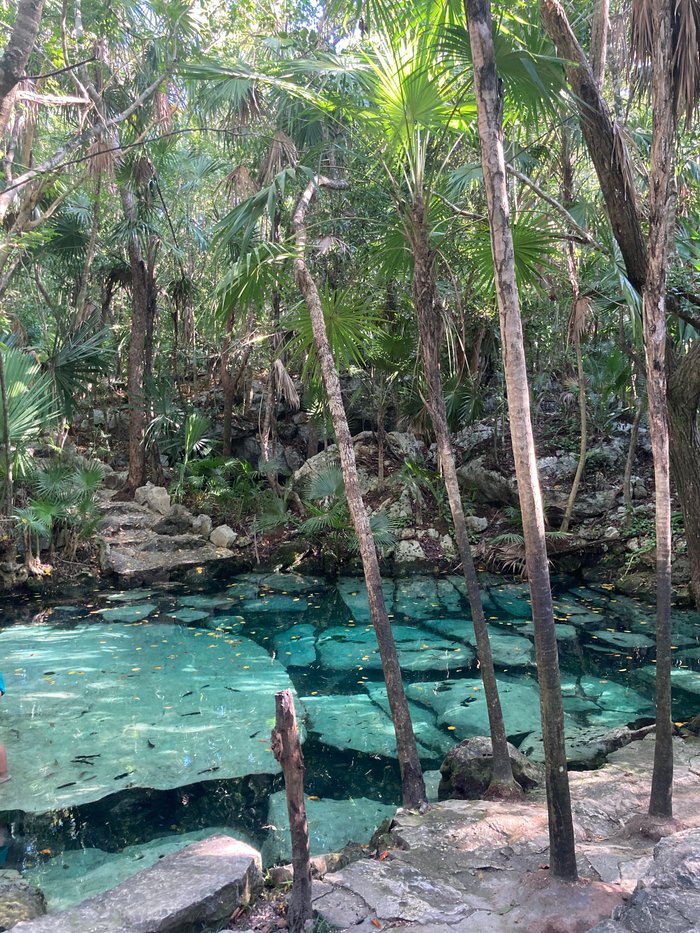 barbel bike rental tulum