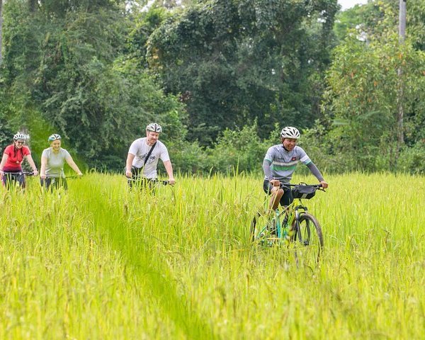 Top Things to Do in Cambodia (with Photos) - Tripadvisor