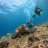 AdvDiversBali