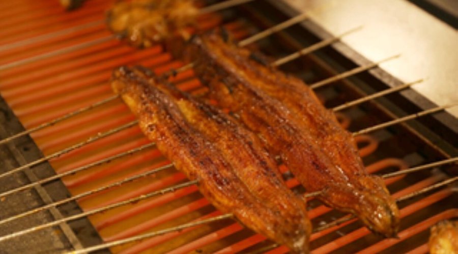grilled eel