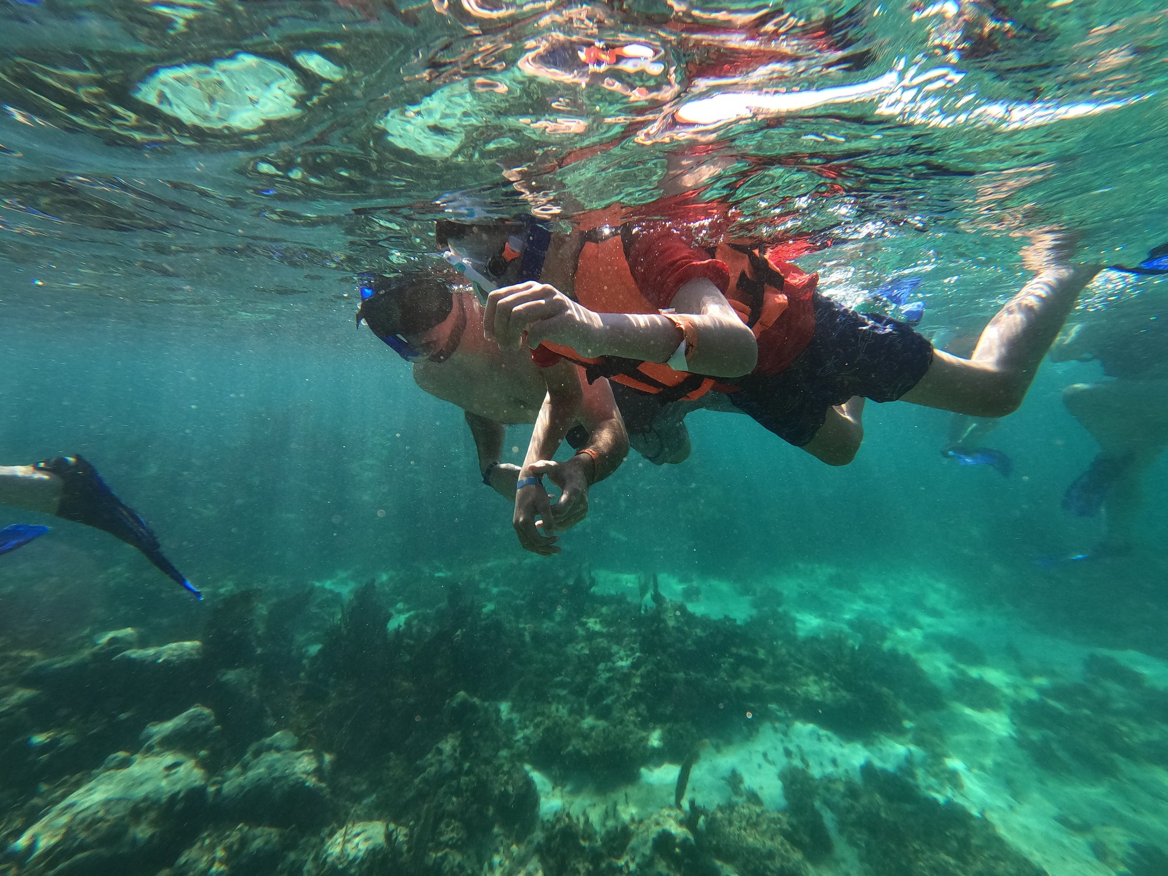 tripadvisor cancun adventures