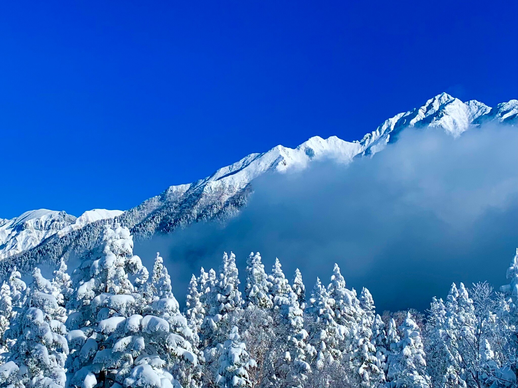Snowfall magc snowing   秋の雪景色 Snowfall magc snowing 秋の雪景色