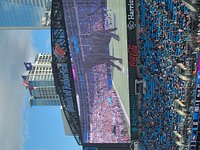 Club Level is the way to go - Review of The Bank of America Stadium,  Charlotte, NC - Tripadvisor