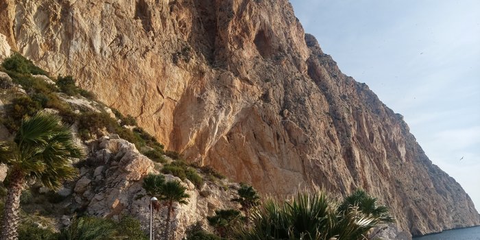 Imagen 8 de Paseo Ecológico Príncipe De Asturias