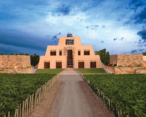 wine tours from mendoza