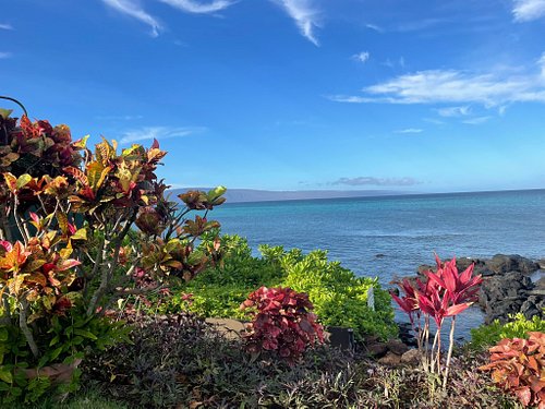 Mahina Surf Updated 2023 Prices Reviews Maui Hawaii