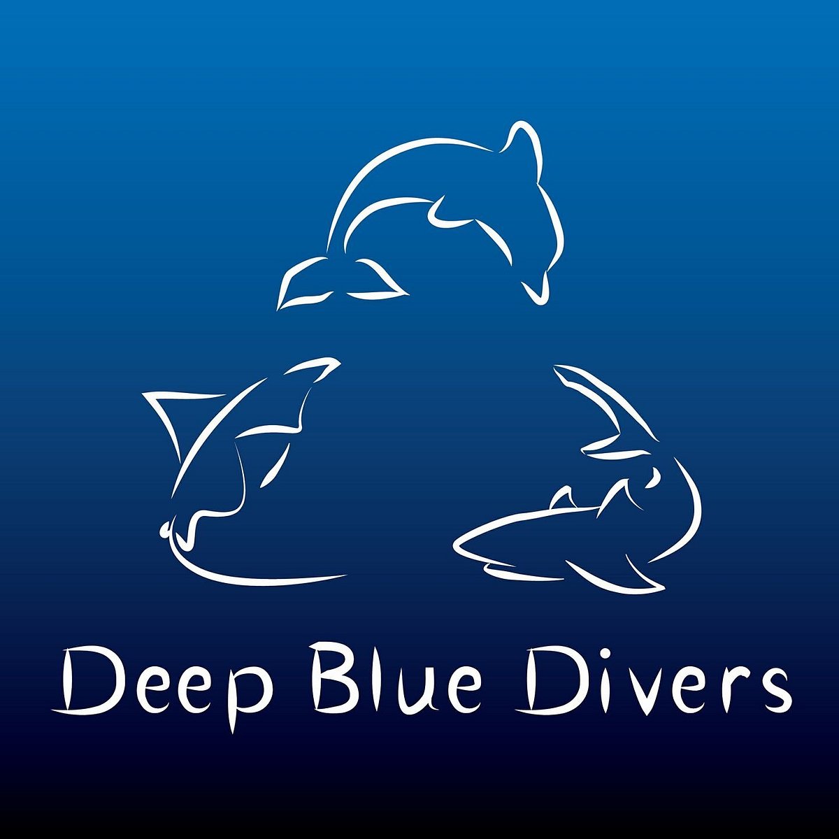 BD Long Deep Diver