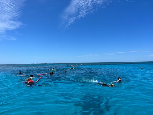 Southern Great Barrier Reef review images